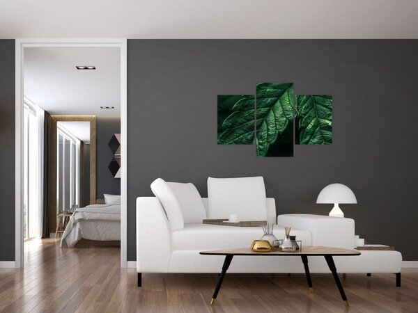 Slika - Detalj lista (90x60 cm)