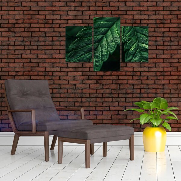 Slika - Detalj lista (90x60 cm)