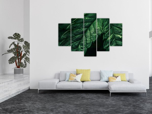 Slika - Detalj lista (150x105 cm)