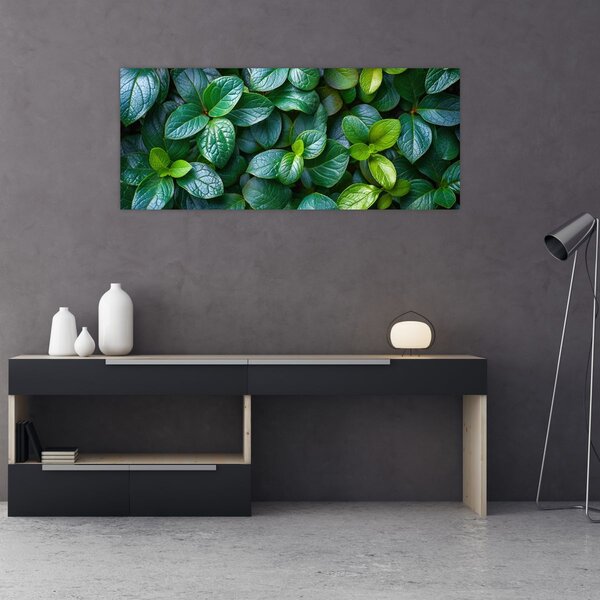 Slika - Zelene biljke (120x50 cm)