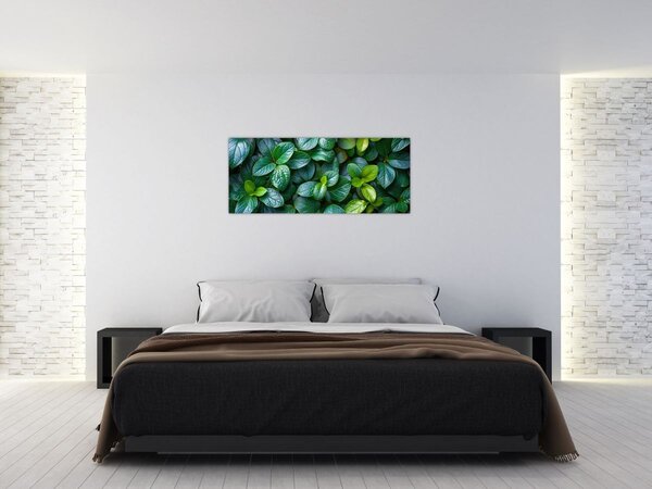 Slika - Zelene biljke (120x50 cm)