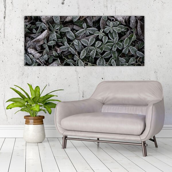 Slika - Smrznute biljke (120x50 cm)
