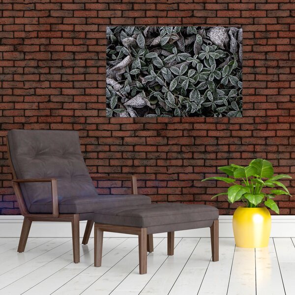 Slika - Smrznute biljke (90x60 cm)
