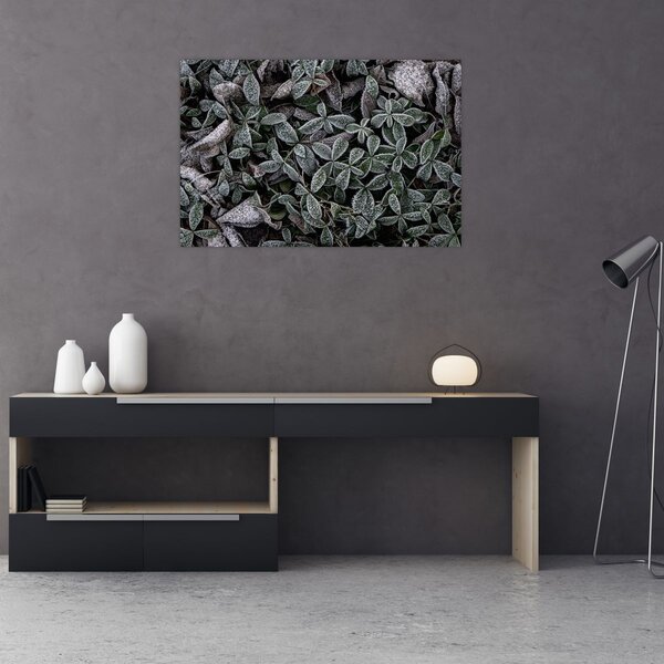 Slika - Smrznute biljke (90x60 cm)