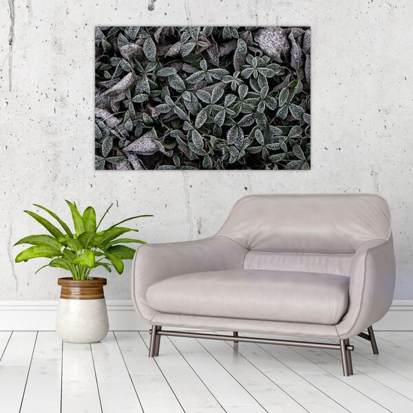 Slika - Smrznute biljke (90x60 cm)