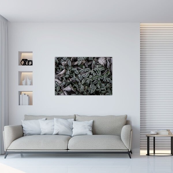 Slika - Smrznute biljke (90x60 cm)
