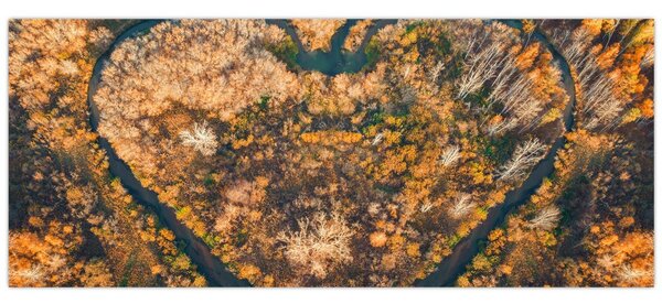 Slika - Rijeka u obliku srca (120x50 cm)