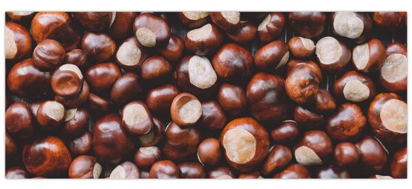 Slika - Zreli kesteni (120x50 cm)