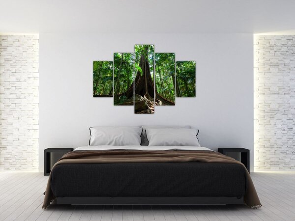 Slika - Korijenje stabla (150x105 cm)