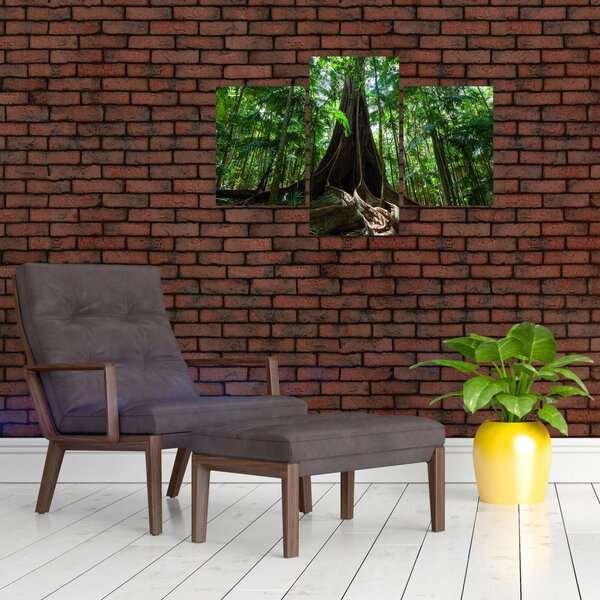 Slika - Korijenje stabla (90x60 cm)