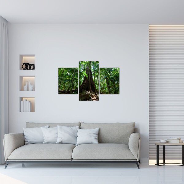 Slika - Korijenje stabla (90x60 cm)
