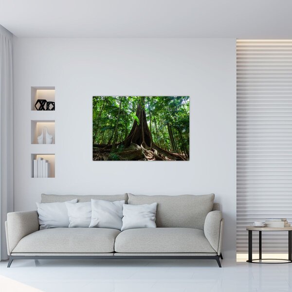 Slika - Korijenje stabla (90x60 cm)