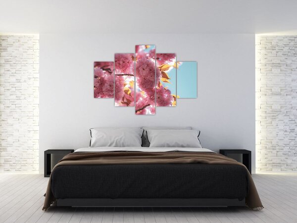 Slika - Trešnjin cvijet (150x105 cm)