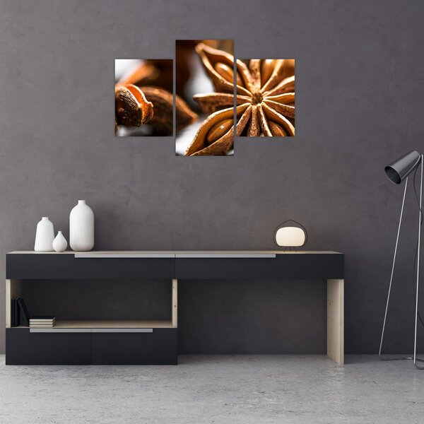 Slika - Anis (90x60 cm)