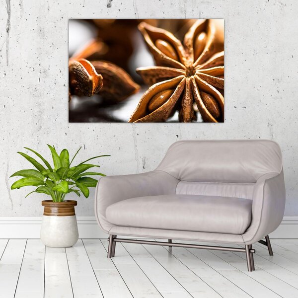 Slika - Anis (90x60 cm)