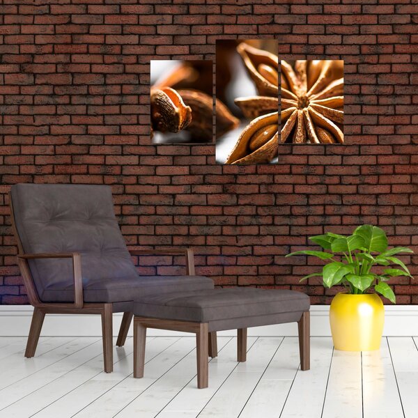 Slika - Anis (90x60 cm)