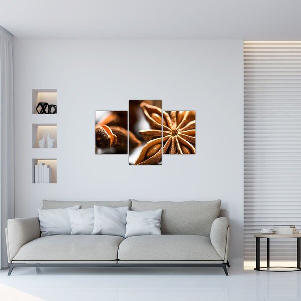 Slika - Anis (90x60 cm)