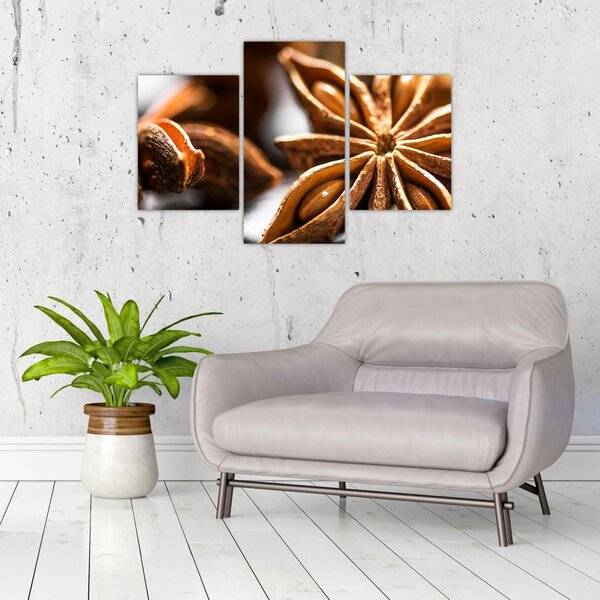 Slika - Anis (90x60 cm)