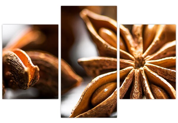 Slika - Anis (90x60 cm)