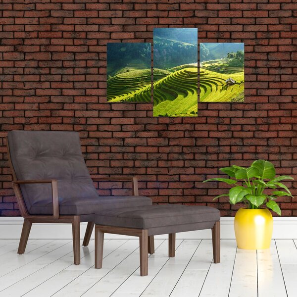 Slika - Koncert na rižinim terasama (90x60 cm)