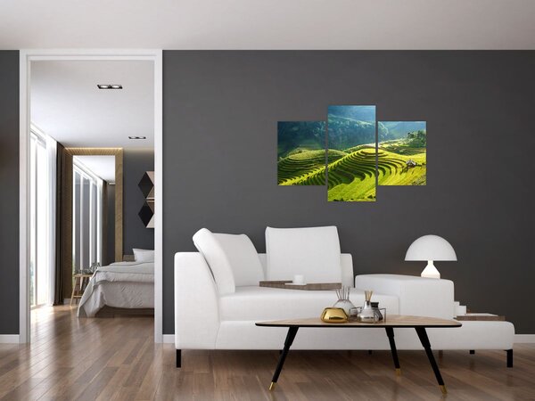 Slika - Koncert na rižinim terasama (90x60 cm)