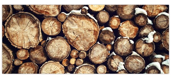 Slika - Drvo u snijegu (120x50 cm)