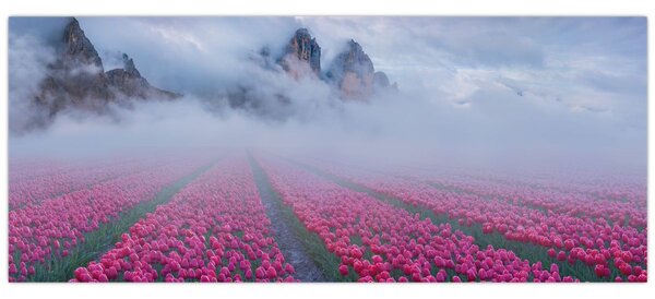 Slika - Krajolik s poljima tulipana (120x50 cm)