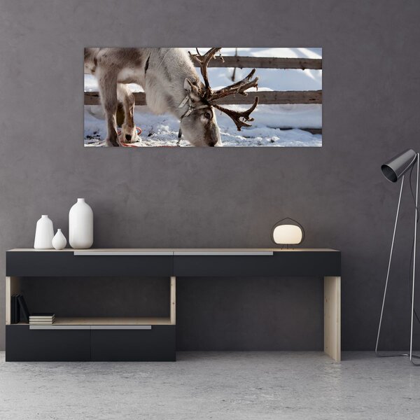 Slika - sub (120x50 cm)
