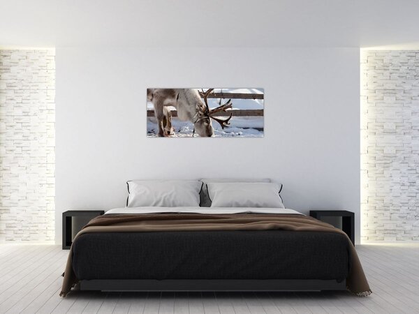 Slika - sub (120x50 cm)