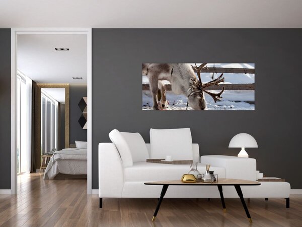 Slika - sub (120x50 cm)