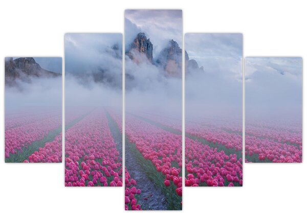 Slika - Krajolik s poljima tulipana (150x105 cm)