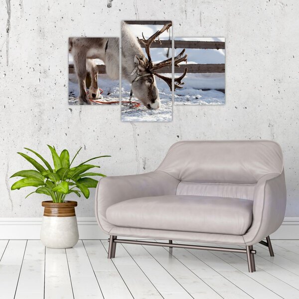 Slika - sub (90x60 cm)