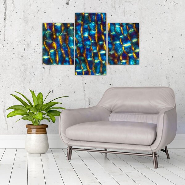 Slika - Stanične stijenke (90x60 cm)