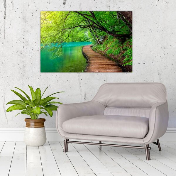 Slika - Plitvička jezera (90x60 cm)