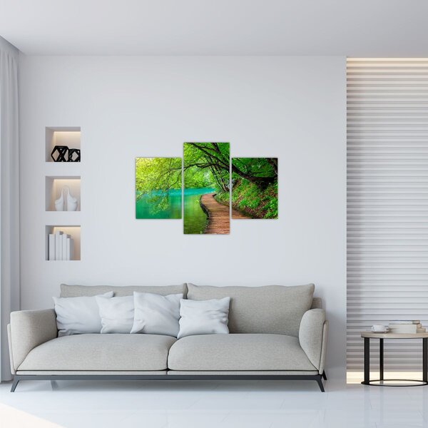Slika - Plitvička jezera (90x60 cm)