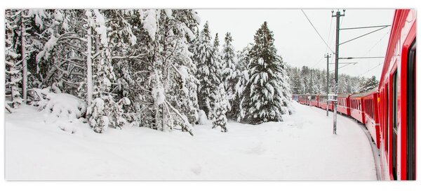 Slika - Vlak u snježnom krajoliku (120x50 cm)