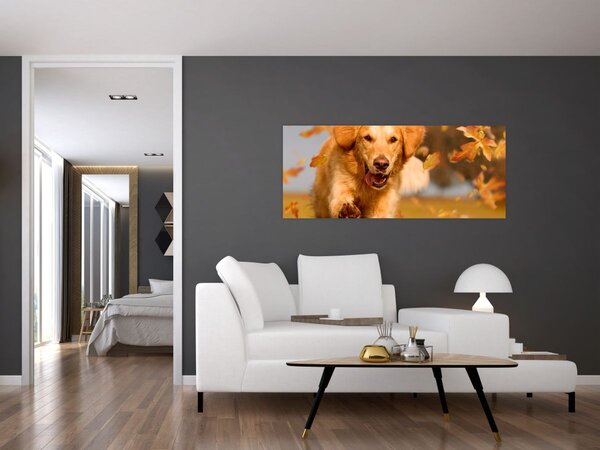 Slika - Zlatni retriver (120x50 cm)