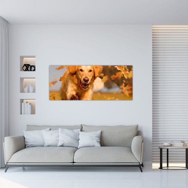 Slika - Zlatni retriver (120x50 cm)
