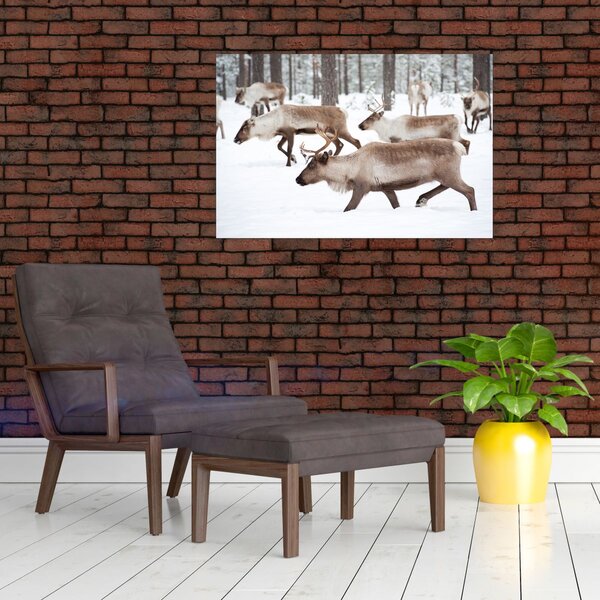 Slika - Sob (90x60 cm)