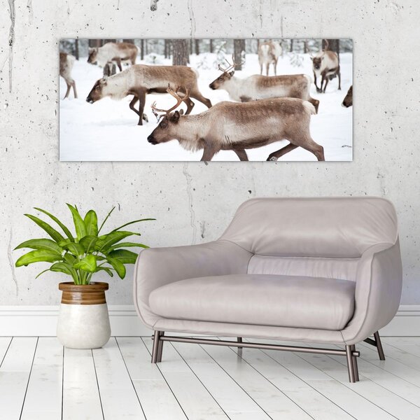 Slika - Sob (120x50 cm)