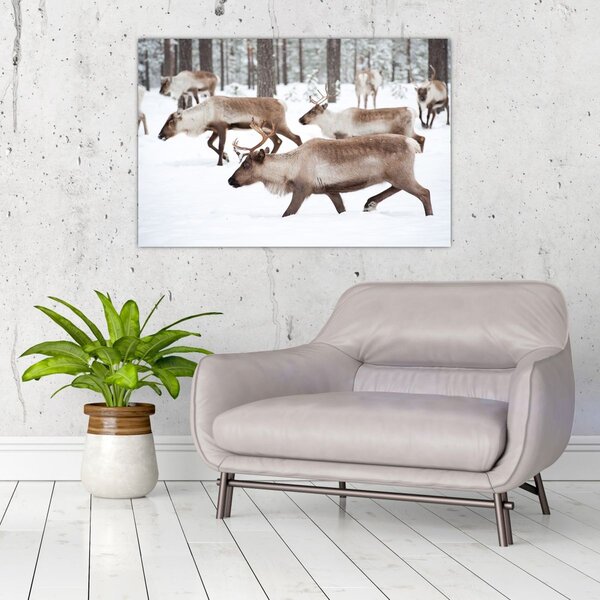 Slika - Sob (90x60 cm)
