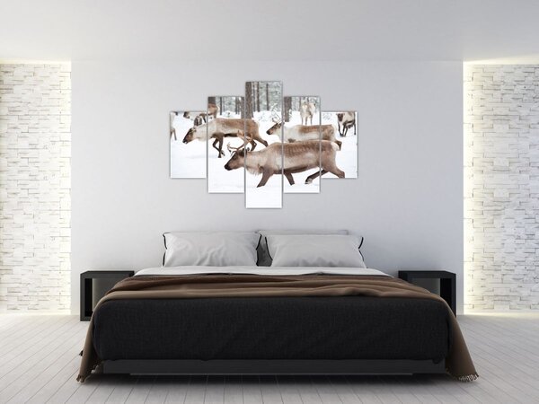 Slika - Sob (150x105 cm)