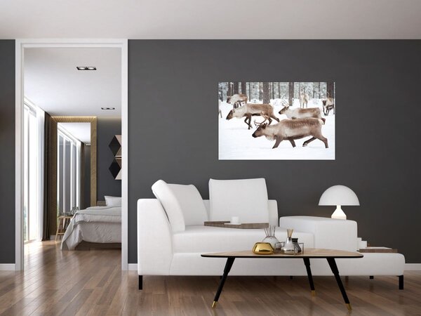 Slika - Sob (90x60 cm)