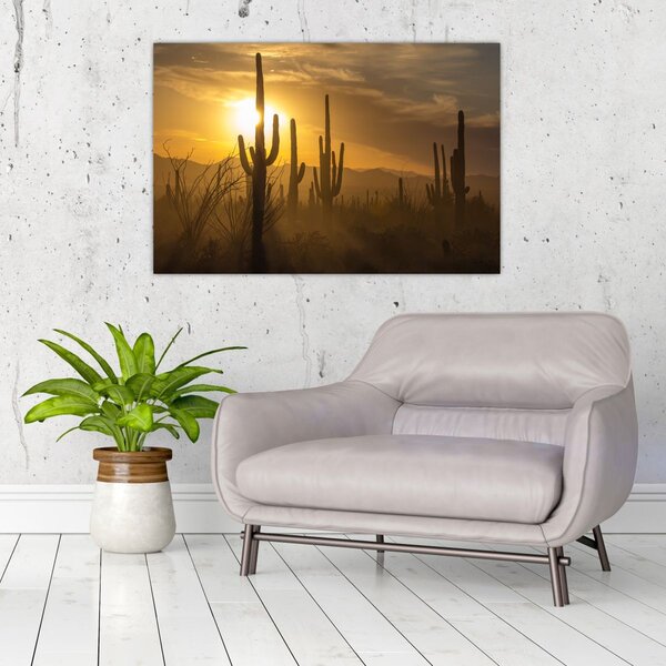Slika - Saguaro kaktusi (90x60 cm)
