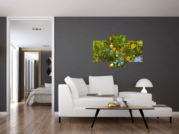 Slika - Limun (90x60 cm)