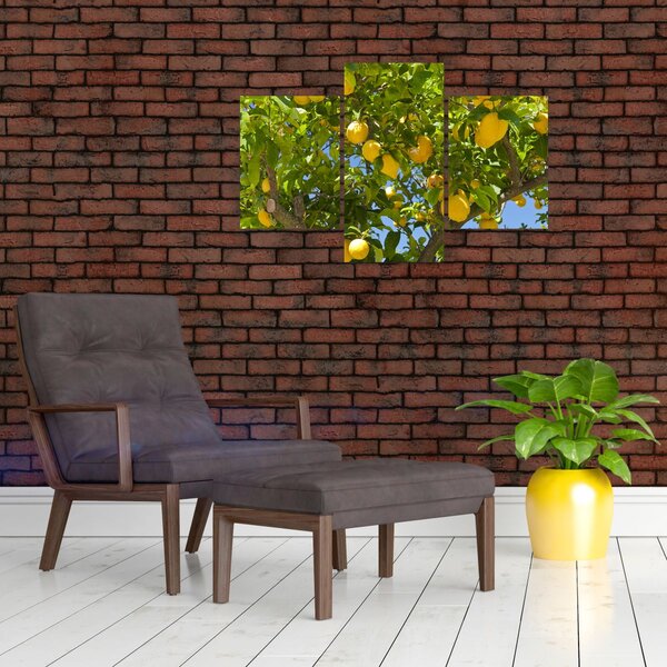 Slika - Limun (90x60 cm)