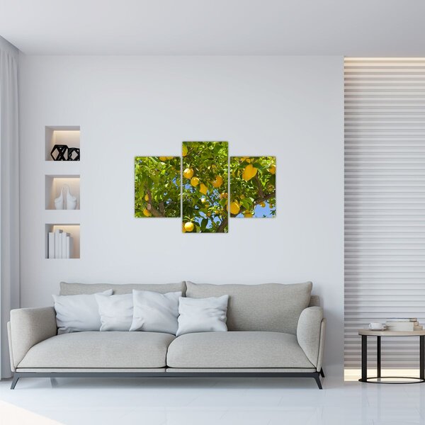 Slika - Limun (90x60 cm)