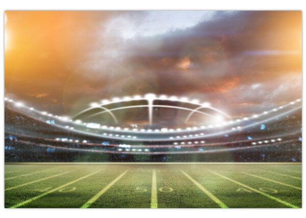 Slika - Stadion (90x60 cm)
