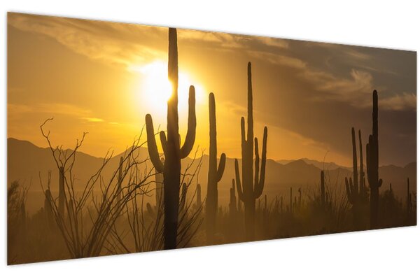 Slika - Saguaro kaktusi (120x50 cm)