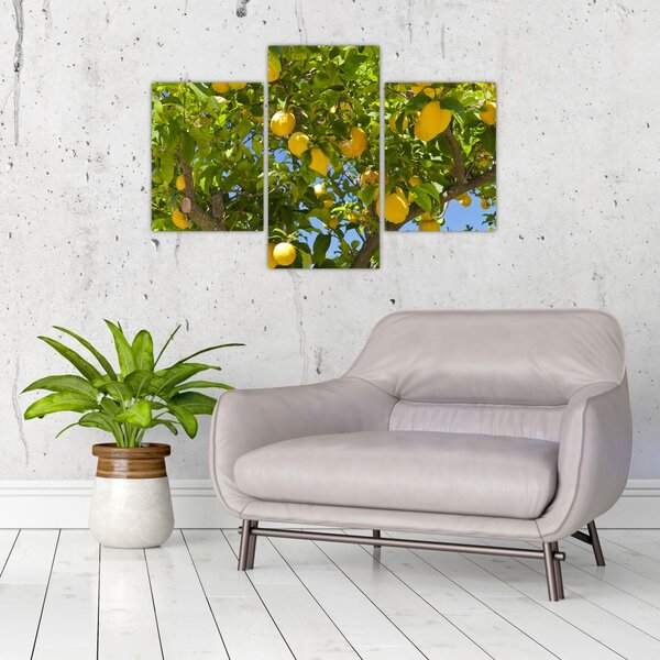 Slika - Limun (90x60 cm)